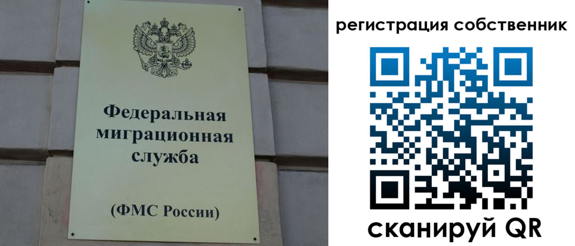 прописка гарантия в Белово